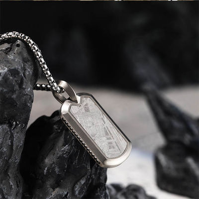 Meteorite extraterrestre con tag tag per cani in acciaio inox.