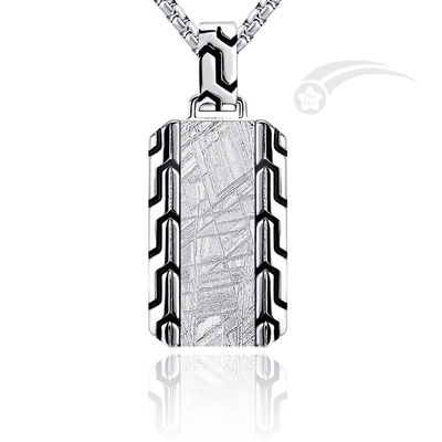 Muonionalusta Pendente Meteorite di Ferro Pendente Tag di cane in acciaio inossidabile Pendente 18*30mm