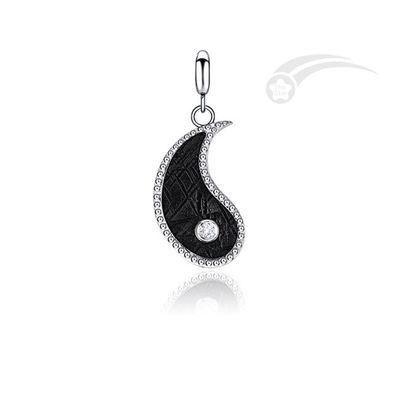 925 Sterling Silver Tai Chi Meteorite 2 in 1 Pendente 13*20 mm Gioielli
