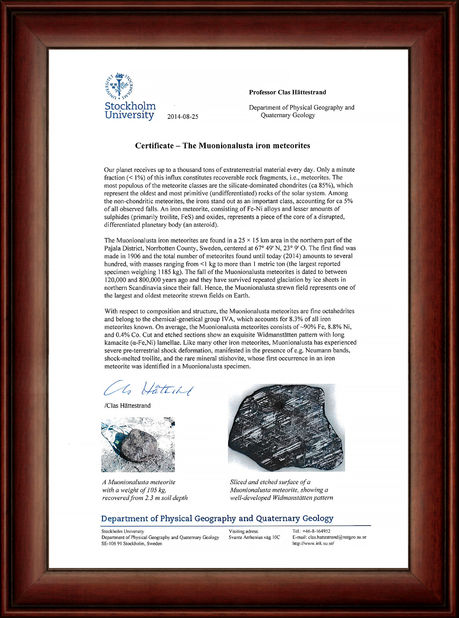 Porcellana Guangzhou Mantianxing Gift Ltd Certificazioni